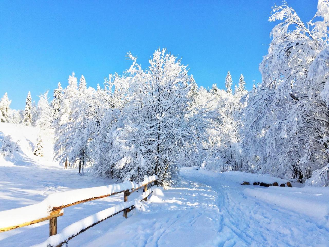 Appartamento Na Kosnych Poronin Esterno foto