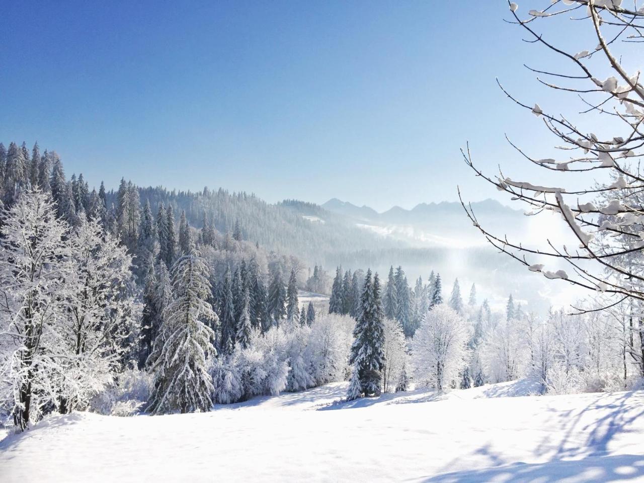 Appartamento Na Kosnych Poronin Esterno foto